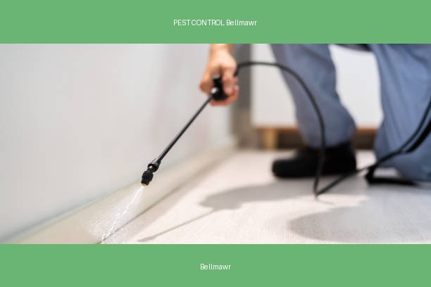 PEST CONTROL Bellmawr